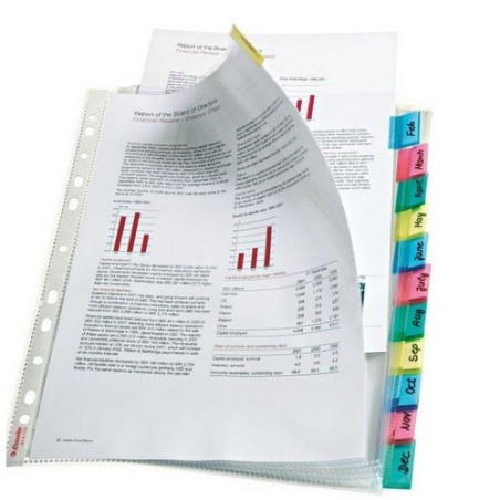 Bolsas catálogo A4 com pestana Esselte 414170