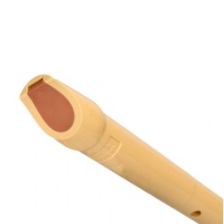 Flautas de Plástico HOHNER 9508