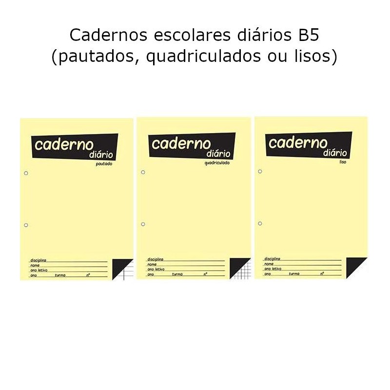 Cadernos Diários B5 25x17,6cm 40Fls