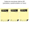 Cadernos Diários B5 25x17,6cm 40Fls
