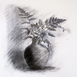 Paus de Carvão Vegetal Grossos 7-9mm Artist (Caixa com 3 Unidades)