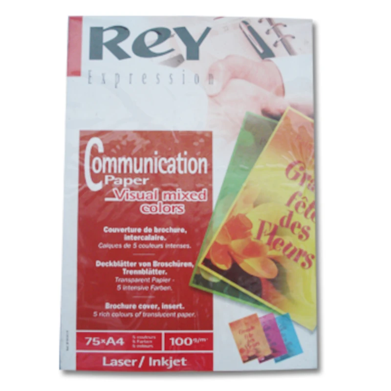 Papel A4 Cores Intensas REY 100g (75 Fls) | Risco de Lápis