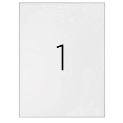 Etiquetas Adesivas Transparentes Mate A4 Q-CONNECT Impermeáveis (210x297 mm) – Pack 25 Folhas