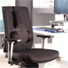 Almofada Lombar Fellowes Ultimate Memory Foam (Ergonómica, Engate Triplo)