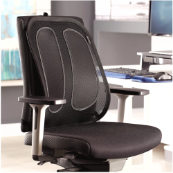 Encosto Lombar Ergonómico de Rede Fellowes Mesh Office Suites – Ajustável / Preto