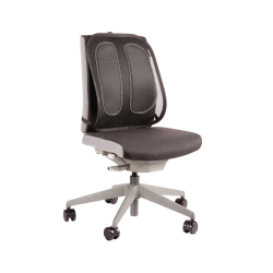 Encosto Lombar Ergonómico de Rede Fellowes Mesh Office Suites – Ajustável / Preto