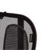 Encosto Lombar Ergonómico de Rede Fellowes Mesh Office Suites – Ajustável / Preto