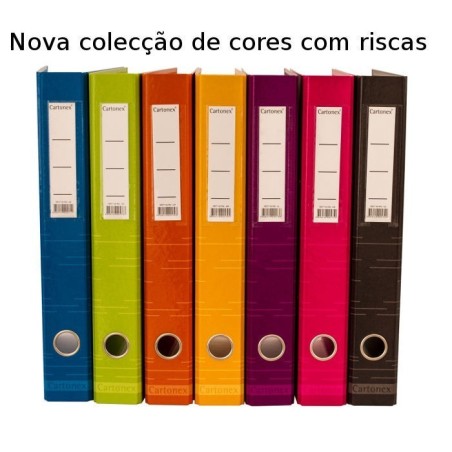 Pastas de arquivo coloridas com riscas Cartonex 40RN