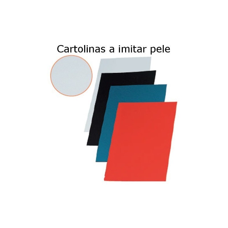 Cartolinas A4 coloridas a imitar pele
