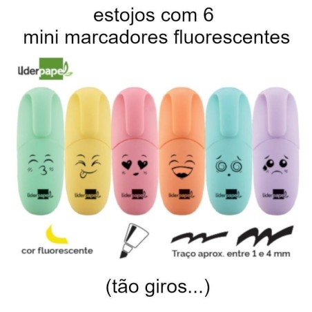 Estojos com 6 marcadores fluorescentes minis