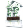 Casas das plantas