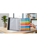 Separadores para Dossiers: Alfabéticos, Numéricos e Cores