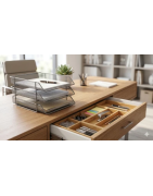 Tabuleiros de Secretária e Organizadores de Gavetas | Ordem e Espaço