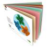 Bloco de 10 Cartolinas A4 Coloridas Sortidas