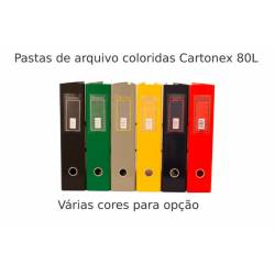 Pastas de arquivo Cartonex 80L coloridas