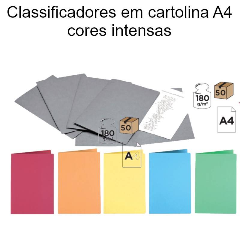 Classificadores em cartolina A4 cores intensas